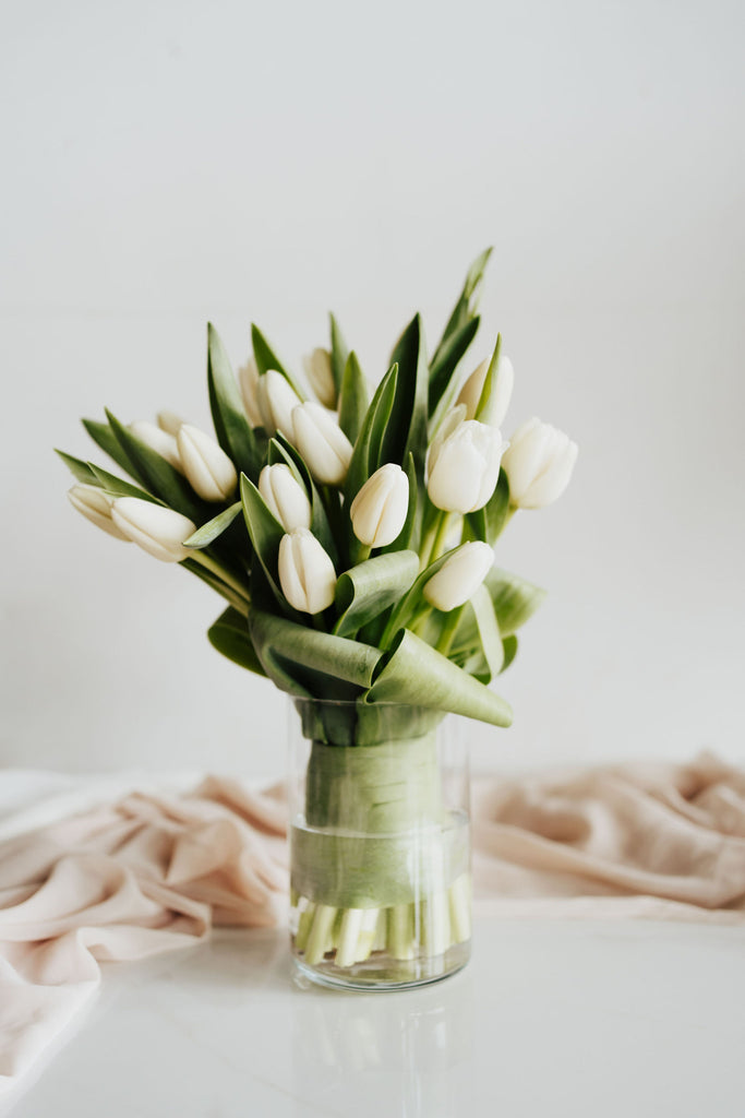 Bouquet de tulipes blanches présenté dans un vase transparent, symbole de fraîcheur et de pureté printanière.